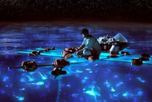 Life-of-Pi-Bioluminescent-Water