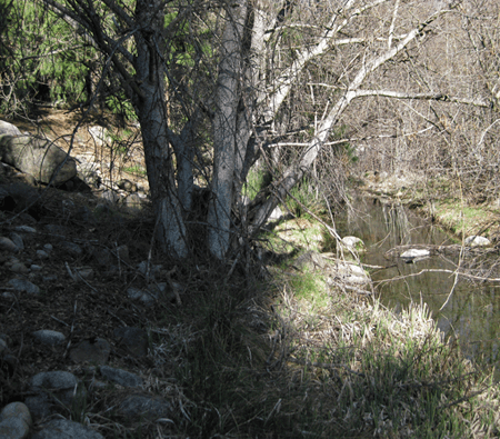 Light and Shadow 2 blog