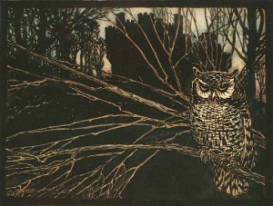 The witch as an owl by Arthur Rackham