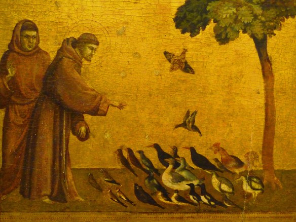 Saint Francis and the birds, by Giotto.  CC BY-NC-ND 2.0