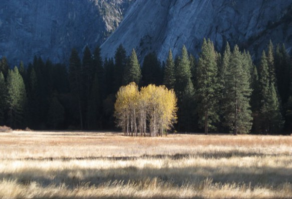 Yosemite Valley, November 2013