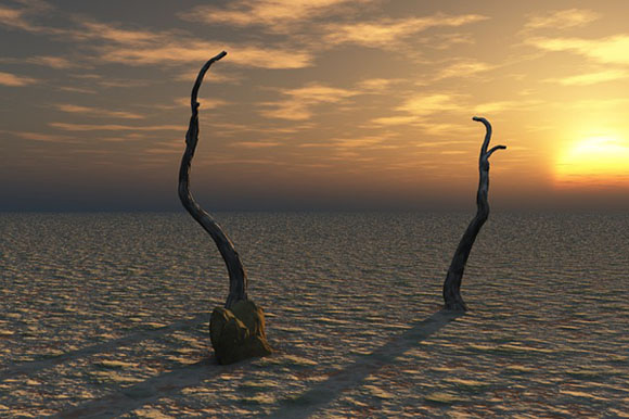 Photo by David Mark, public domain.