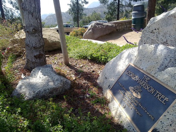 George Harrison memorial tree, 2010 by Al Pavongkanan. Creative Commons