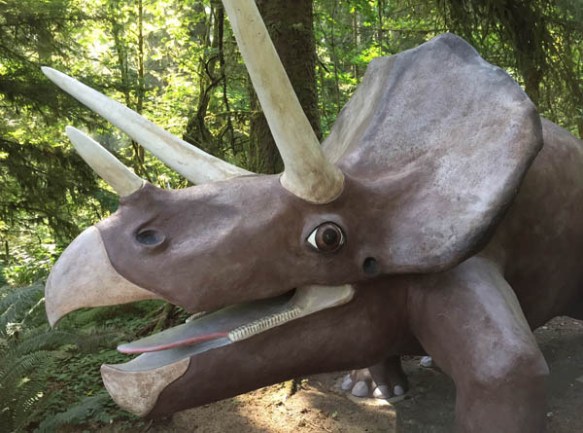 triceratops small_edited-1