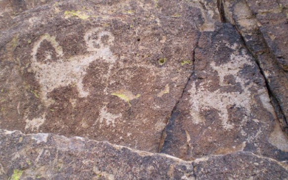 Petroglyphs, Saguaro National Park, Arizona