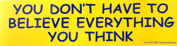 believe-everything-you-think-small